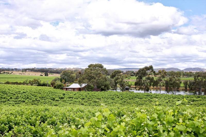 فيلا ستونويل كوتيدجز آند فينياردز ريتريت Barossa Valley المظهر الخارجي الصورة